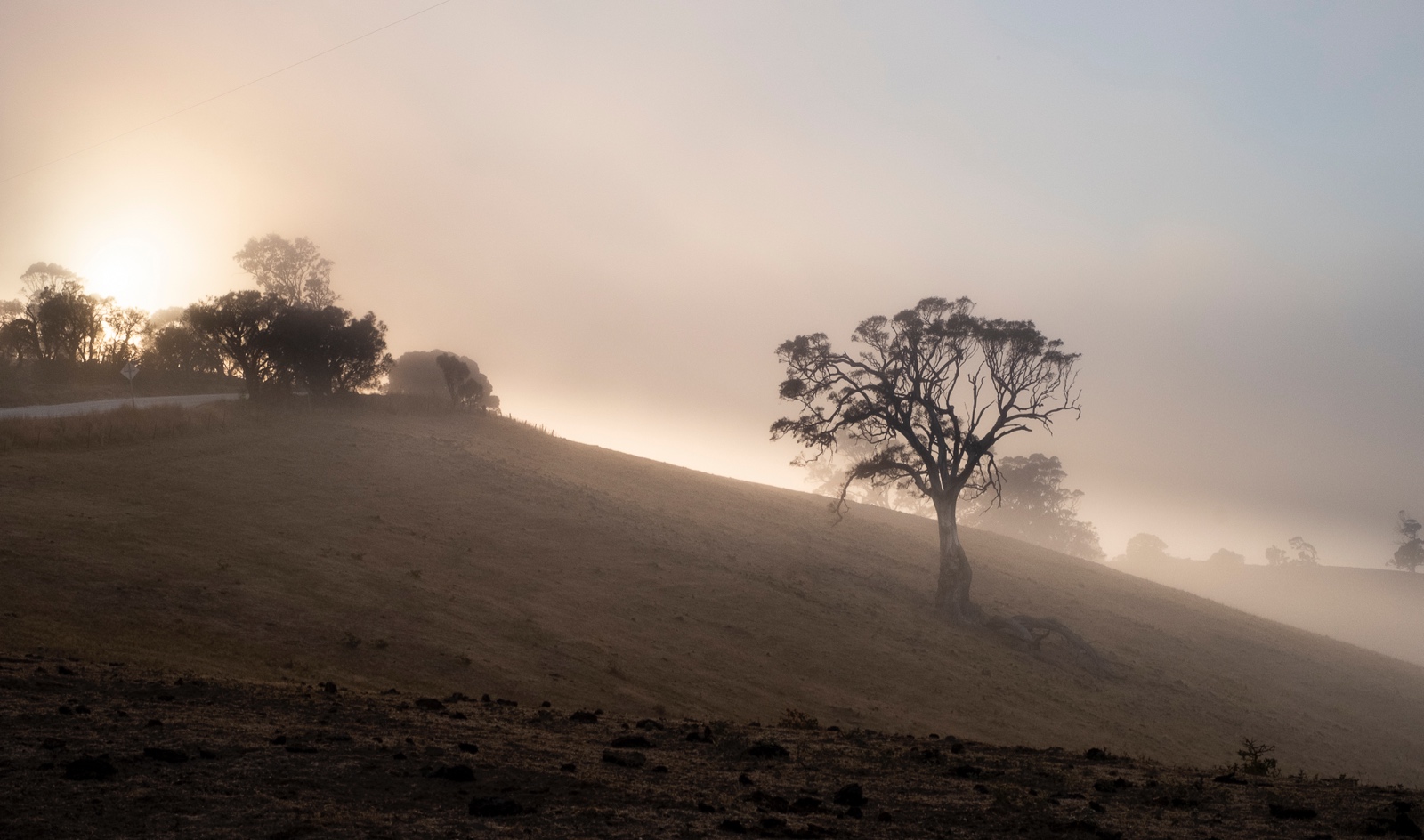 Morning mist